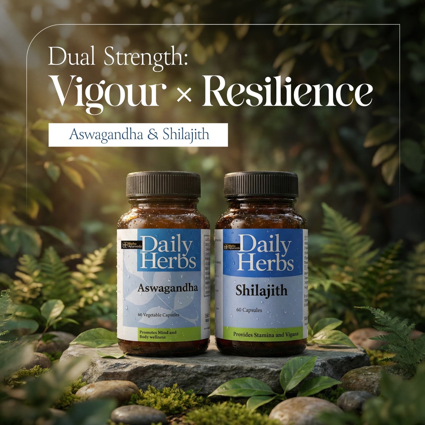 Shilajit + Ashwagandha: Himalayan Rejuvenation & Stress Balance Formula