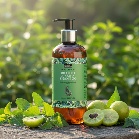 Natural Ayurvedic Shampoo for Strong & Shiny Hair – By Bipha