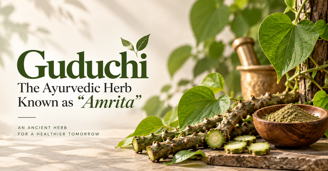 Guduchi: The Ayurvedic Herb Known as “Amrita”