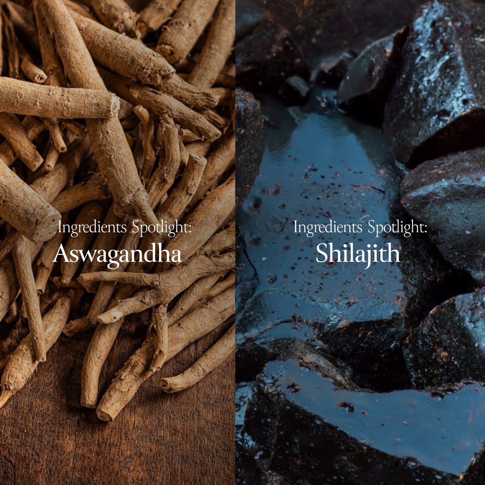 Two images side by side, one of Aswagandha roots and the other of Shilajith stones, with text 'Ingredients Spotlight' above each.